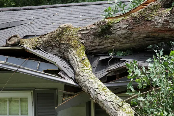 Storm damage over Decatur, Alabama